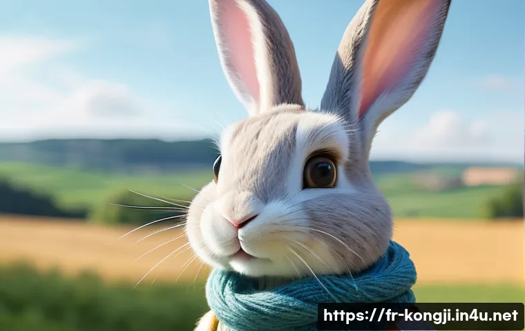 Découvrez les secrets étonnants de la création de Kongji Rabbit et ses coulisses inédites 3 콩지래빗 제작 과정 비하인드 관련 이미지 1